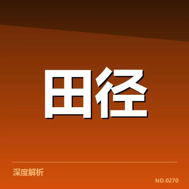 近期赛事中使用的训练数据说明